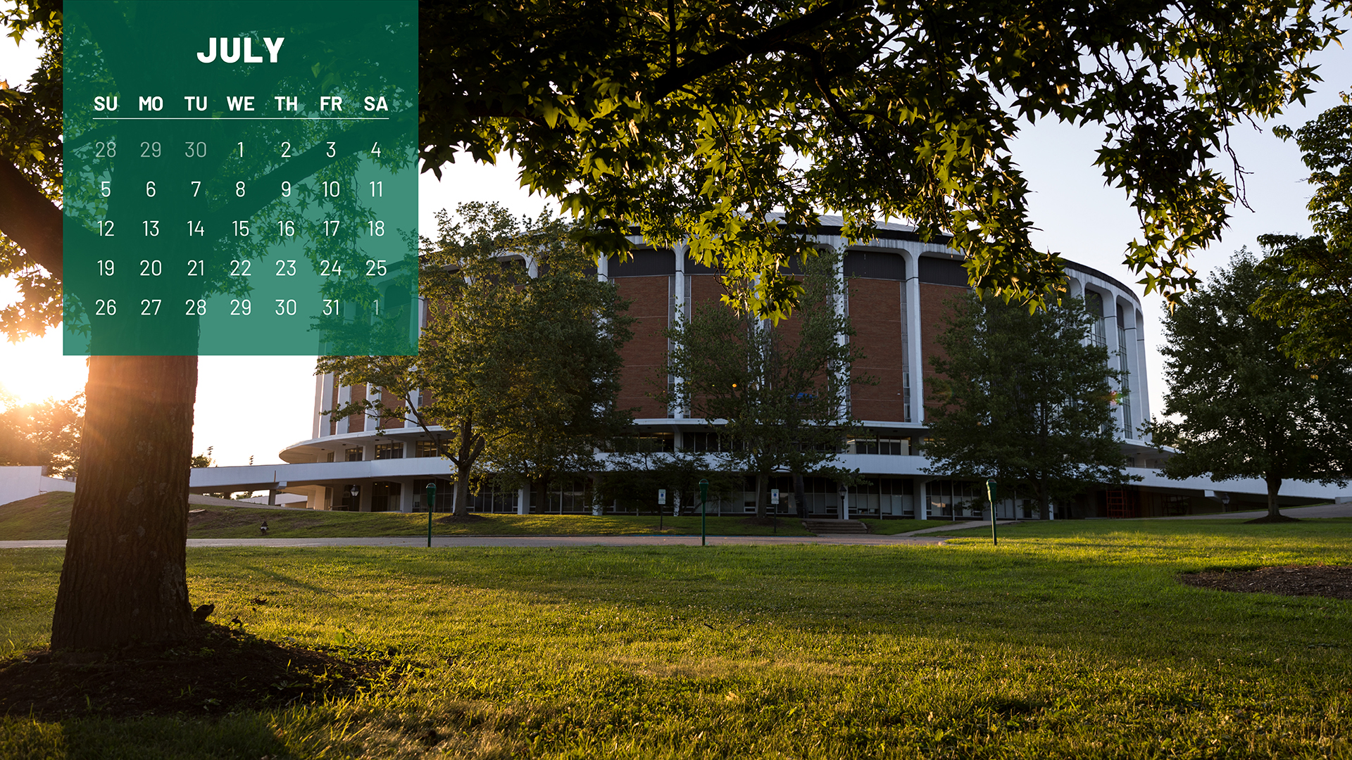 July 2020 Calendar Wallpaper - Tree - HD Wallpaper 