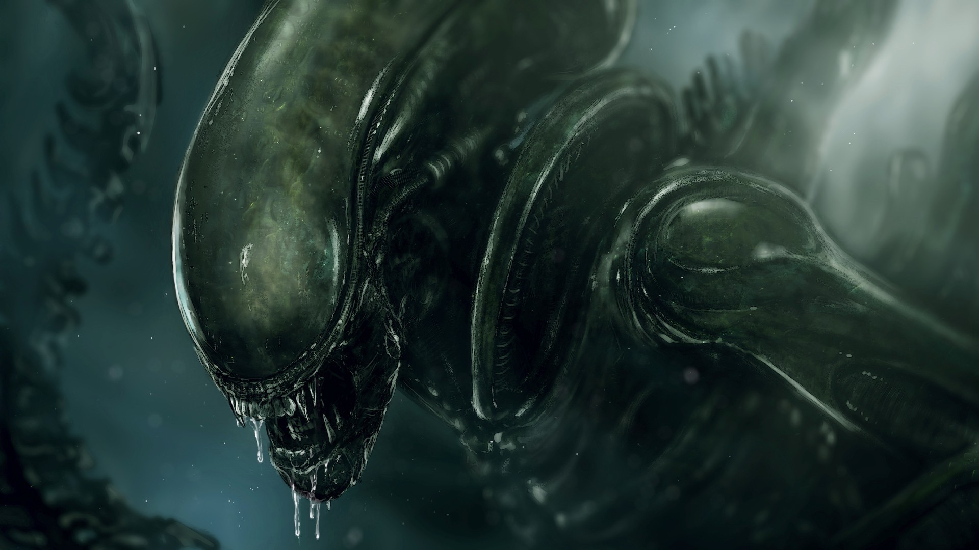 Alien Xenomorph Wallpapers Hd Desktop And Mobile Xenomorph Wallpaper Hd 1920x1080 Wallpaper Teahub Io