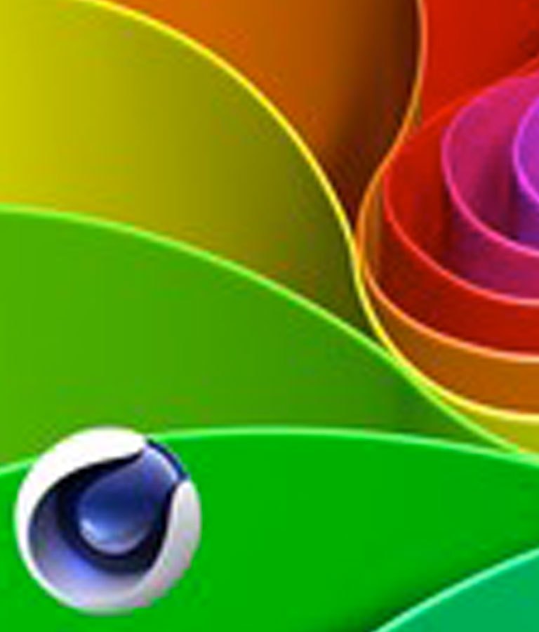 Macro Photography - HD Wallpaper 