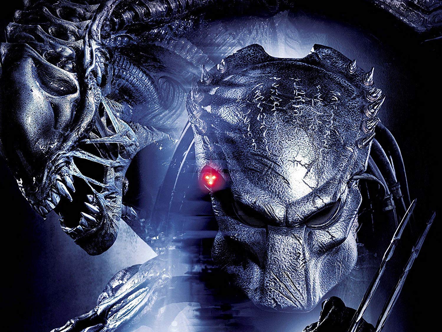 Alien Vs Predator Hd - HD Wallpaper 