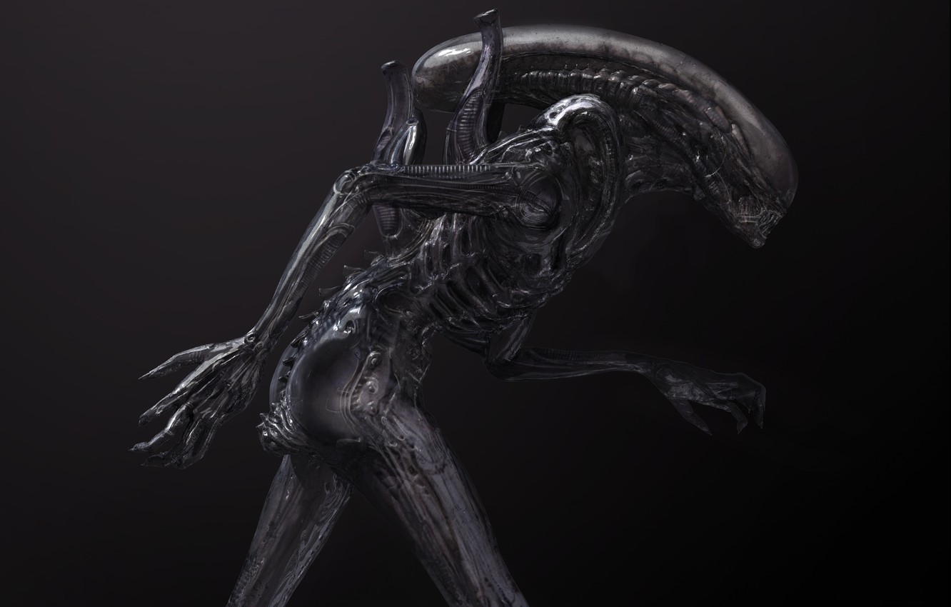Photo Wallpaper Cinema, Horror, Alien, Science Fiction, - Alien 2 Xenomorph Concept - HD Wallpaper 