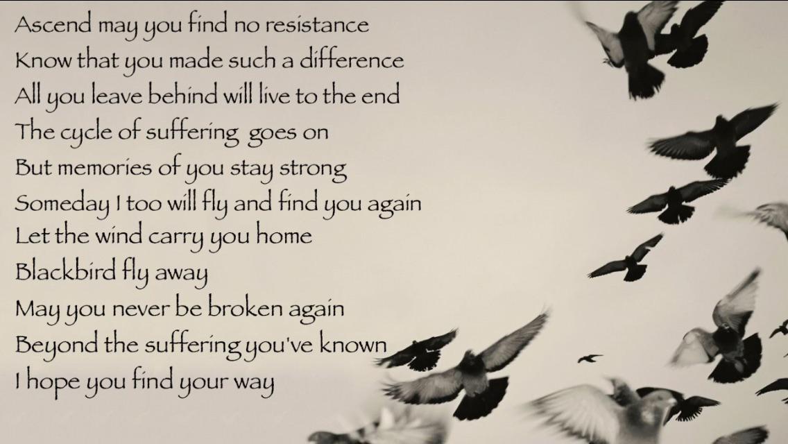 Venetian Snares Rossz Csillag Alatt Született - HD Wallpaper 