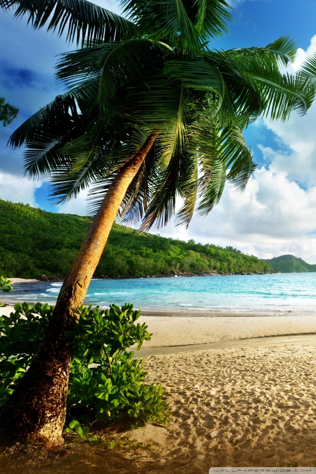 Beach Home Screens - HD Wallpaper 