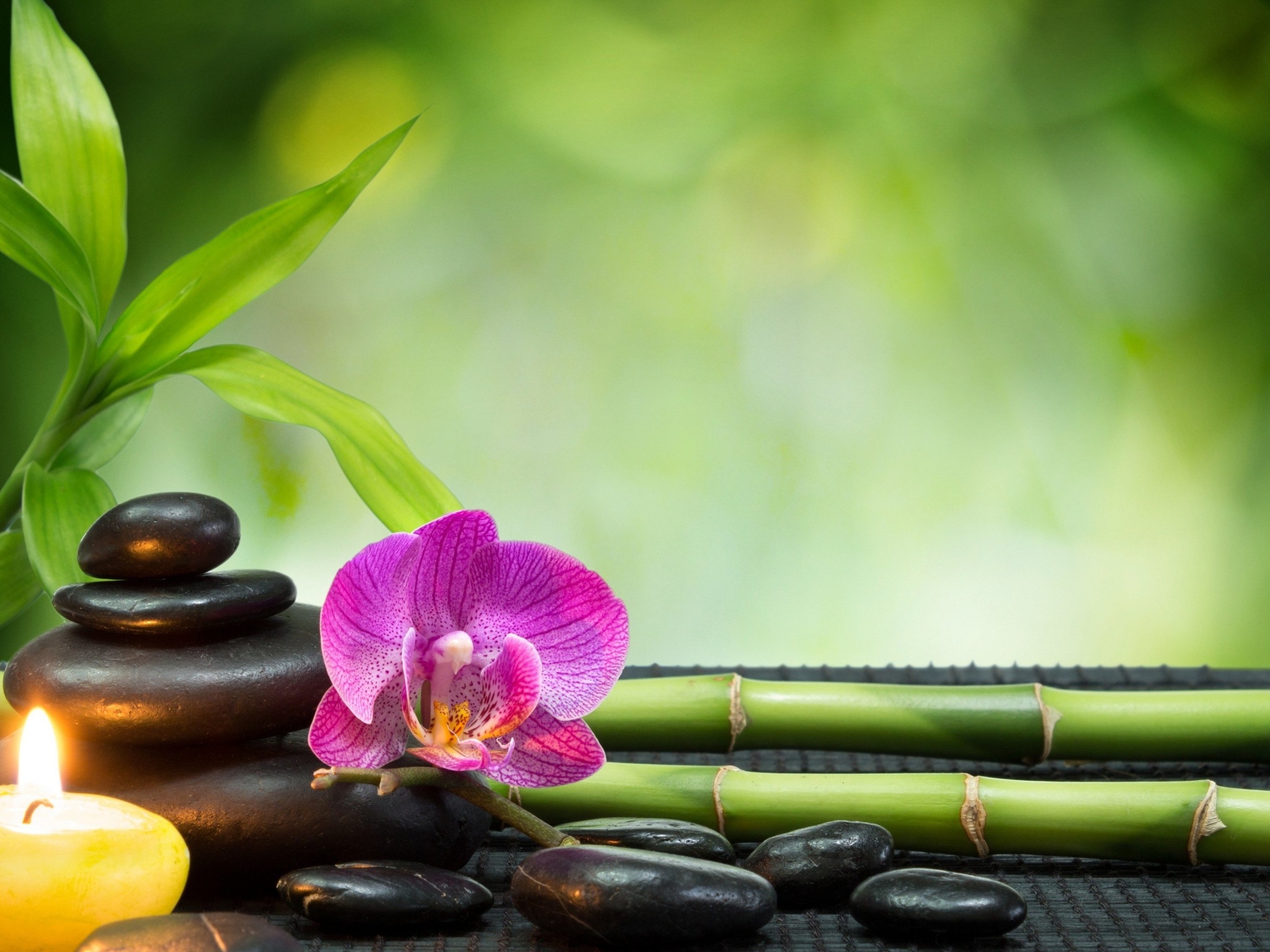 Feng Shui Wallpaper For Success Feng Shui Mobile Wallpaper For Wealth 2048x1536 Wallpaper Teahub Io