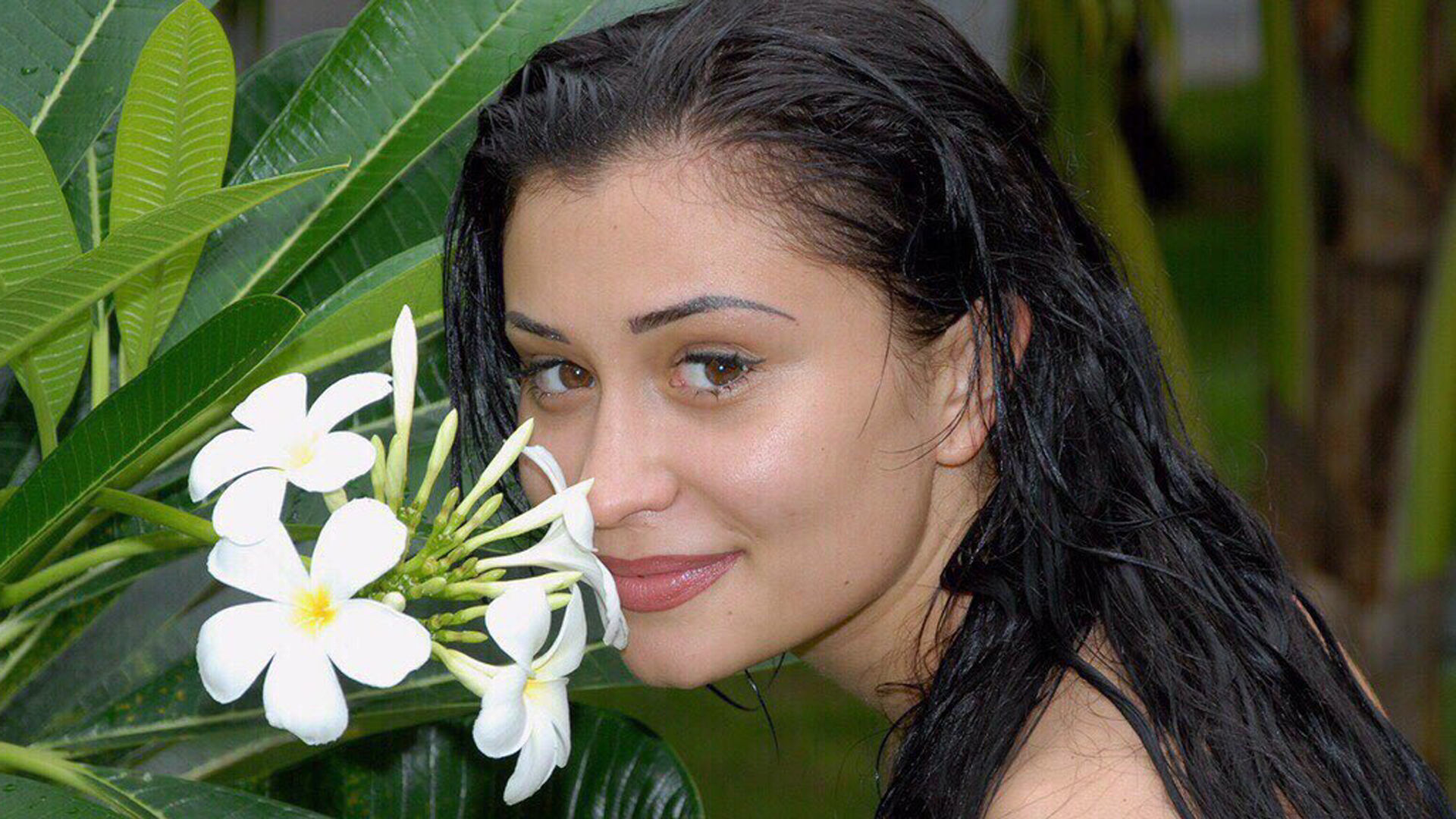 48 Hours Hollywood Horror Story - HD Wallpaper 