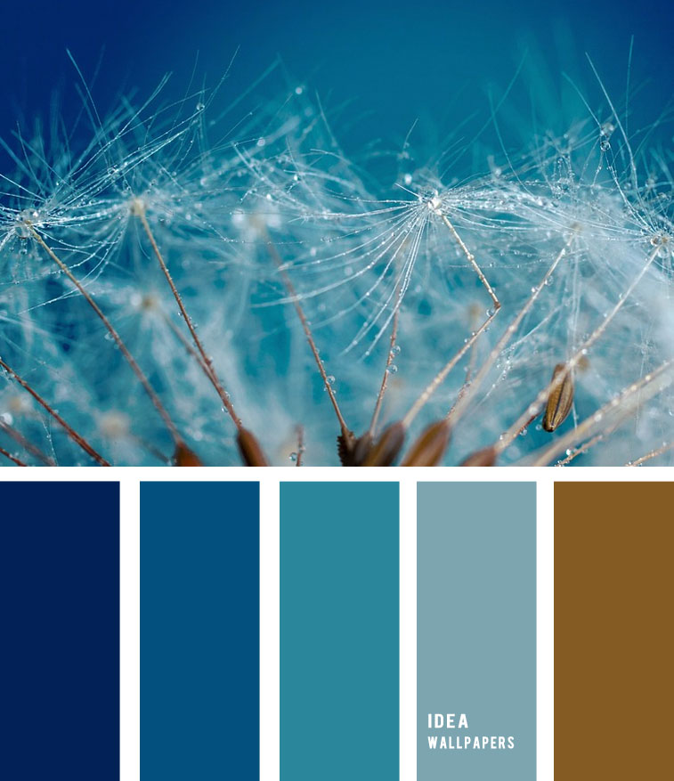 Seeds Color Palette Brown - HD Wallpaper 