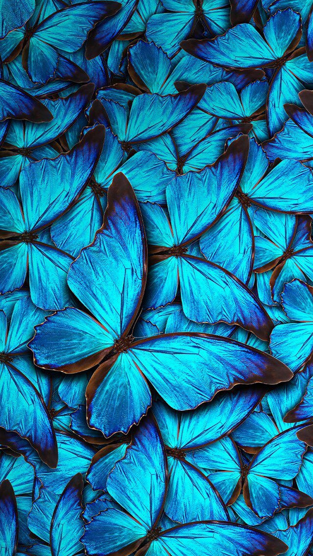 Iphone 8 Wallpaper Blue Butterfly Resolution - Blue Butterfly Wallpaper Iphone - HD Wallpaper 