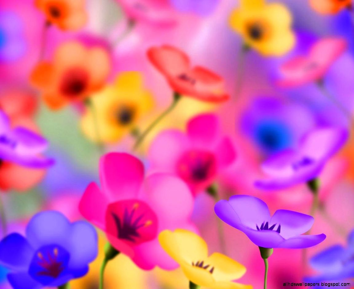 Flower Profile Pic For Fb - HD Wallpaper 