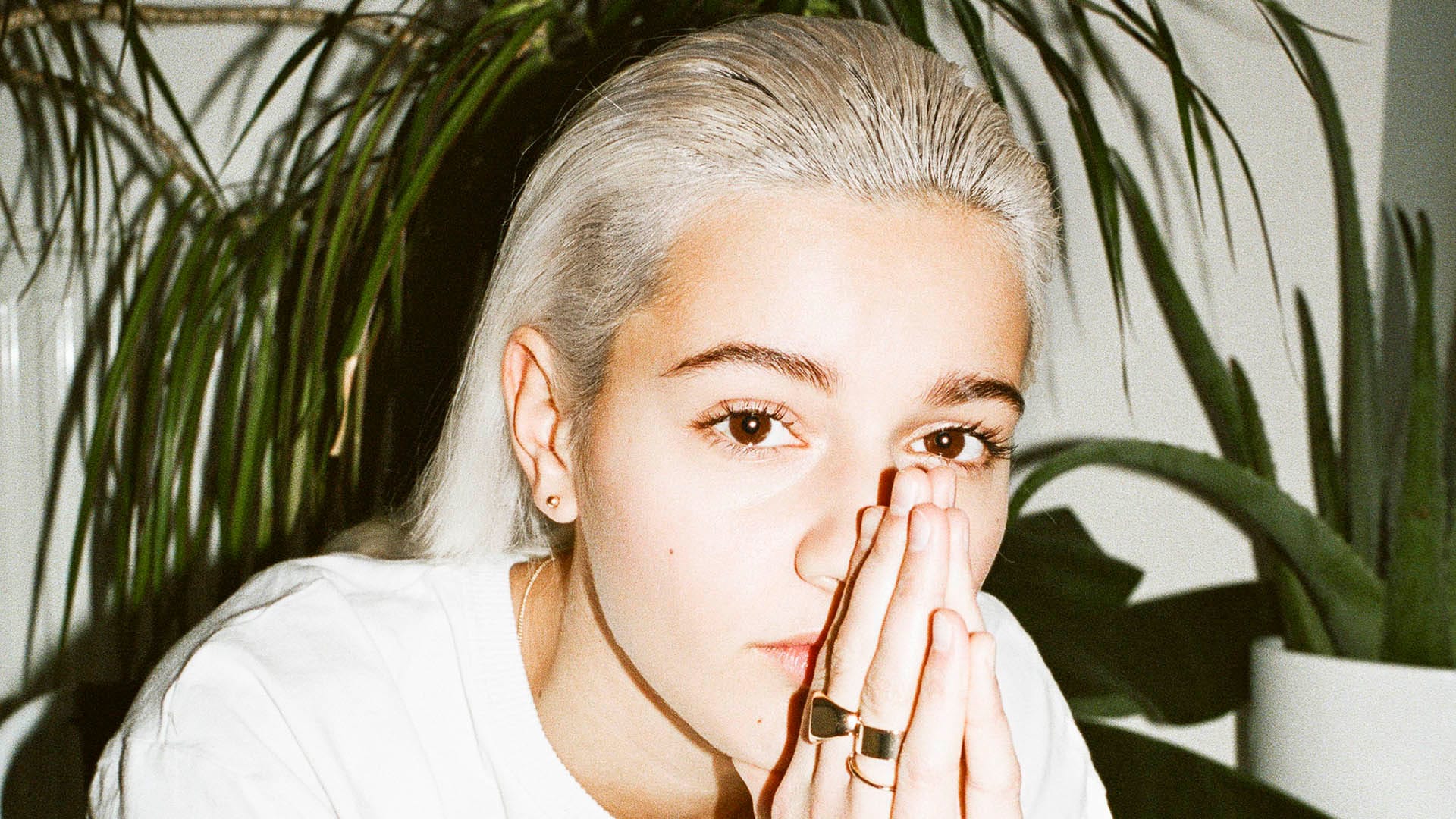 Mavi Phoenix - HD Wallpaper 