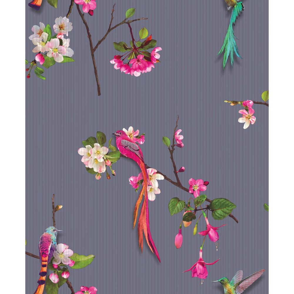 Luxury Birds - HD Wallpaper 