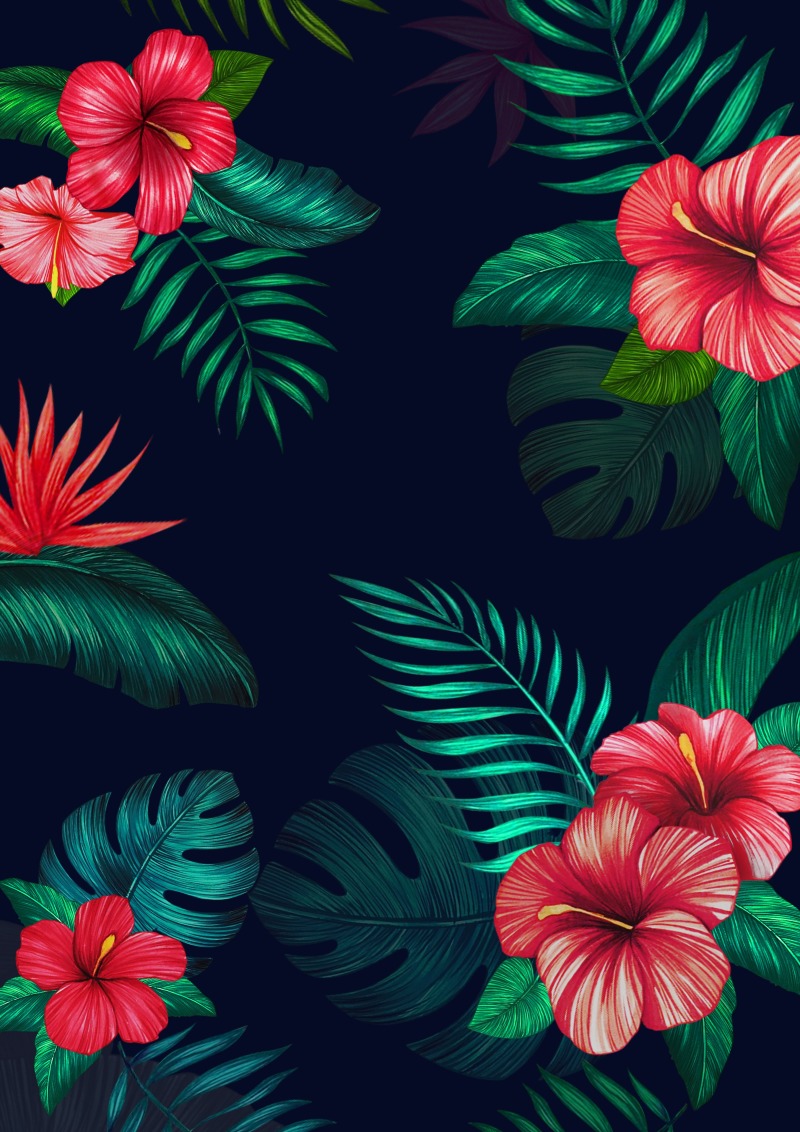 Tropical Wallpaper Black Background - HD Wallpaper 