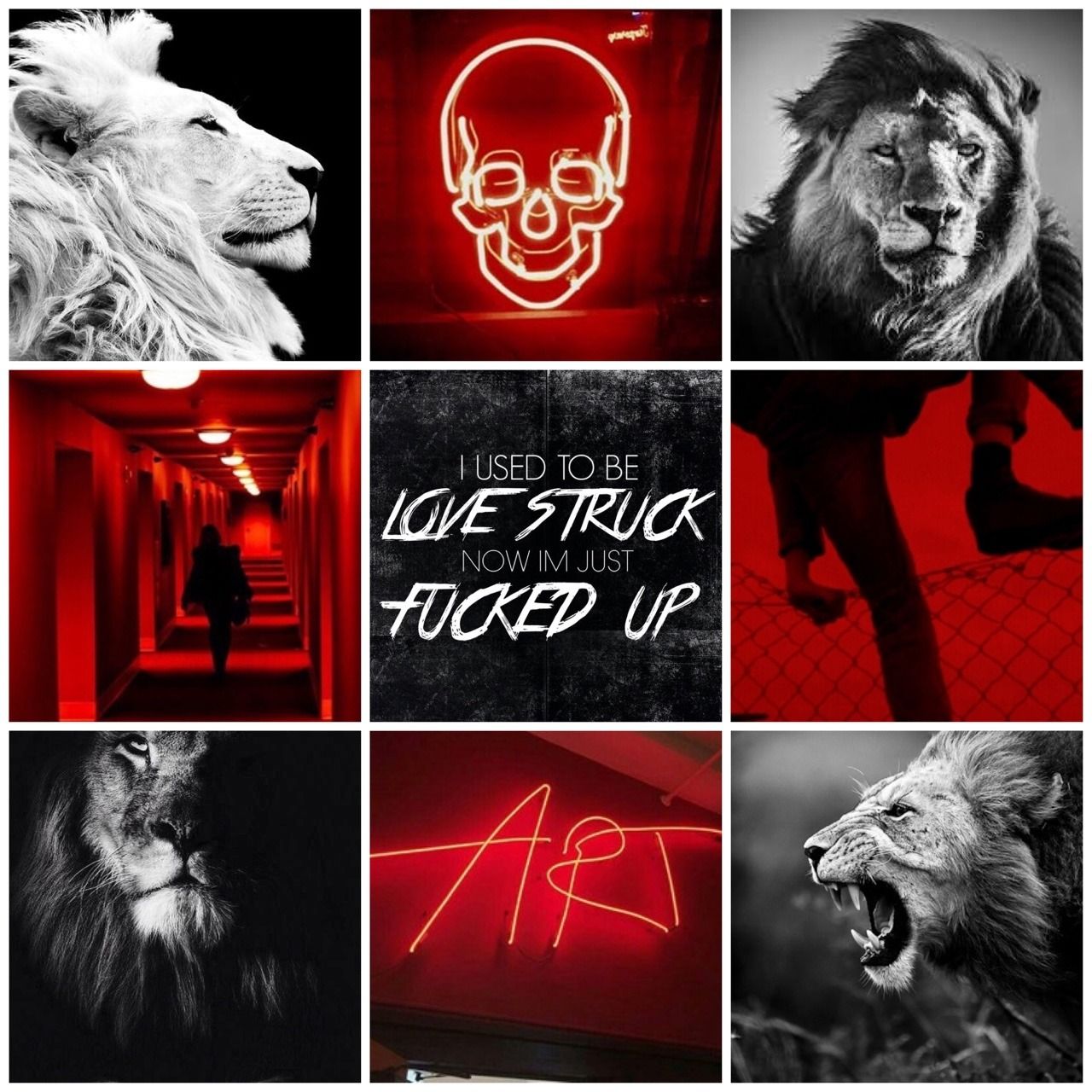 Red And Black Moodboard - 1280x1280 Wallpaper - teahub.io