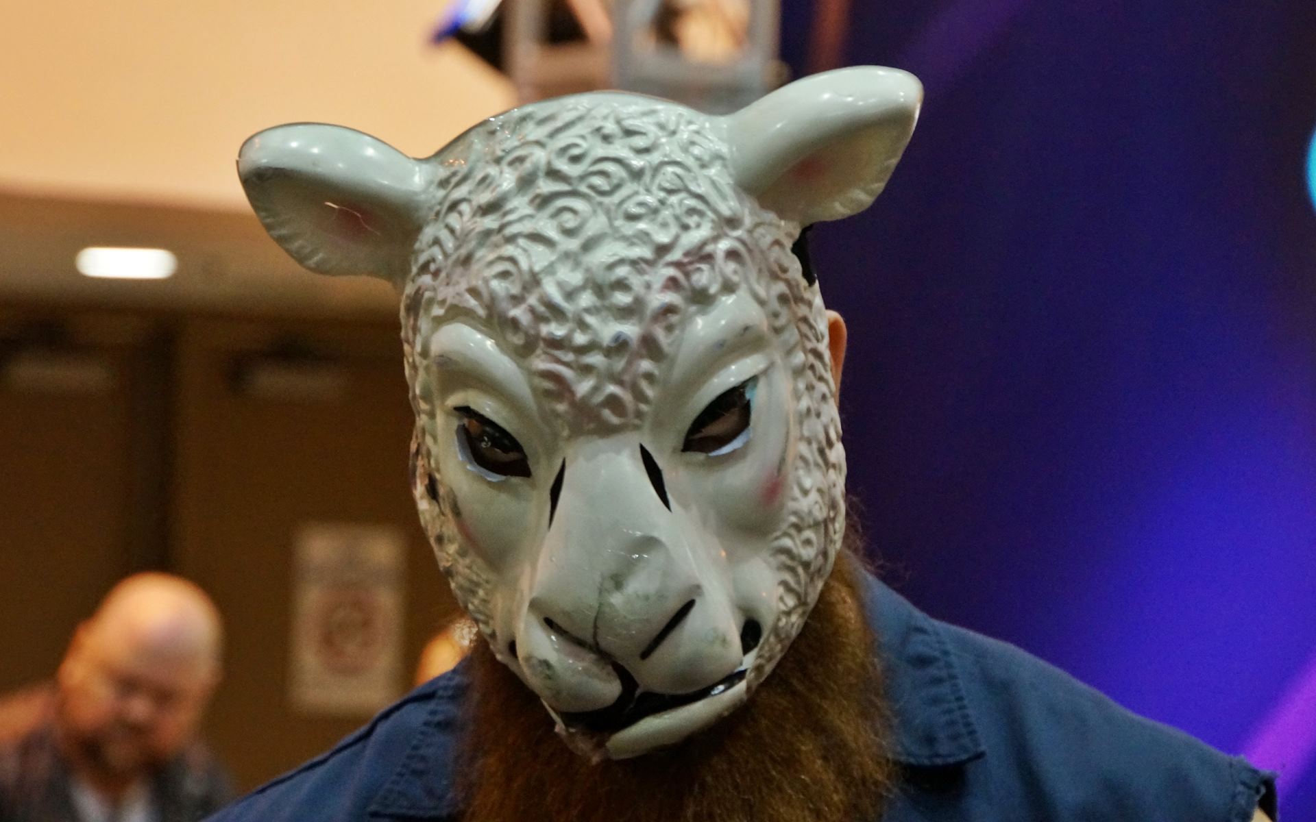 Erick Rowan The White Sheep - HD Wallpaper 