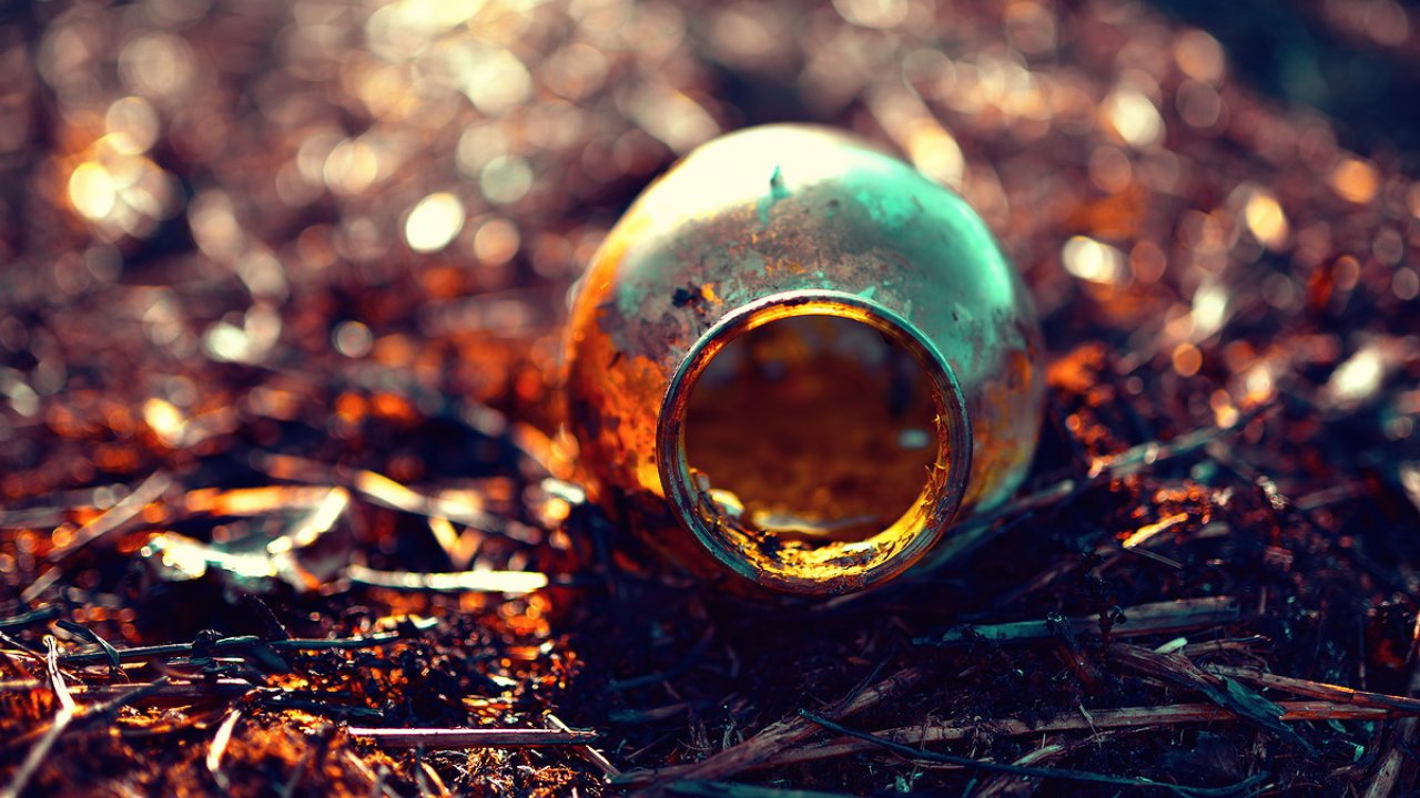 Close-up - HD Wallpaper 