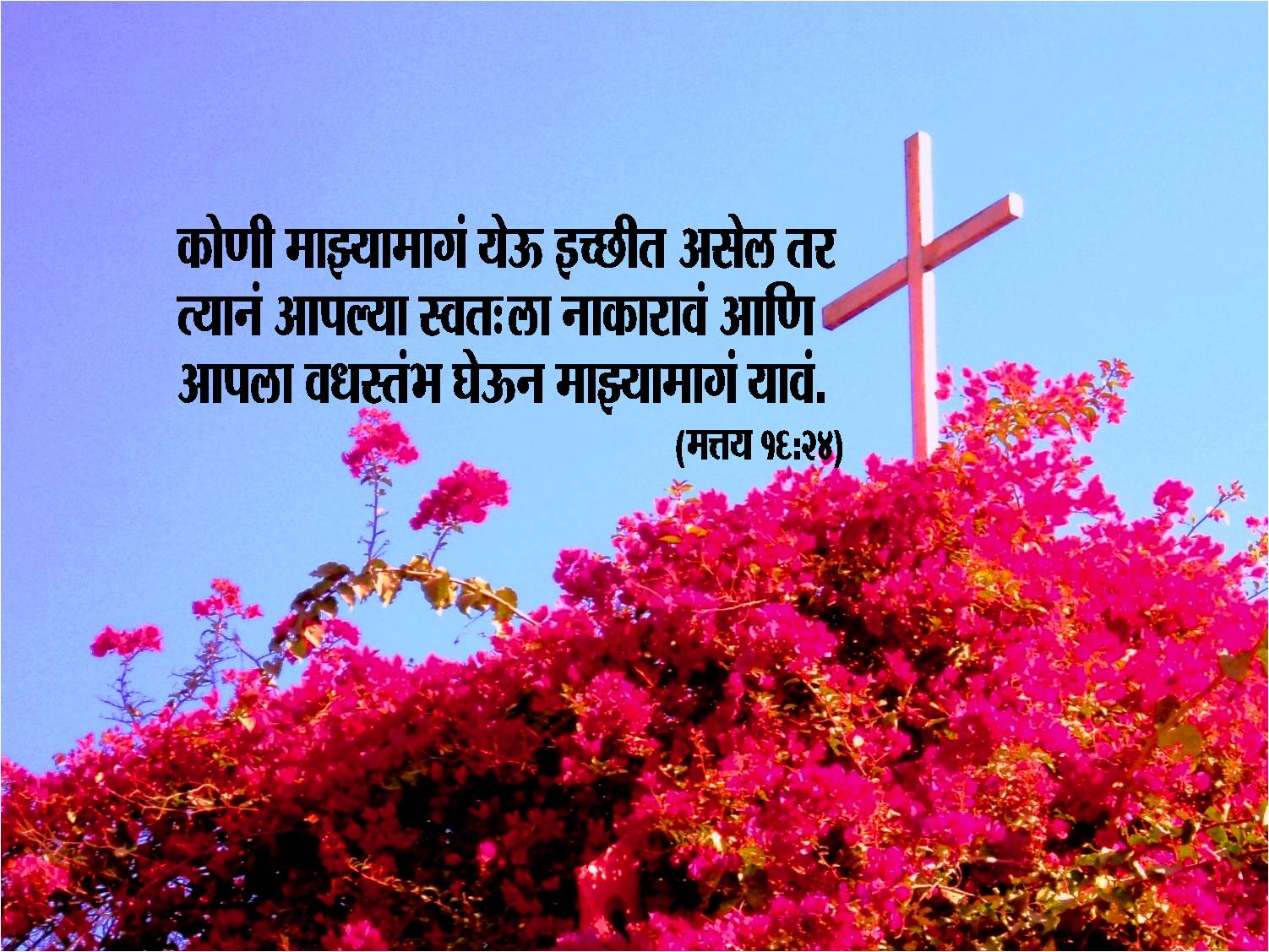 745 Jesus Wallpaper Vachan Pics My