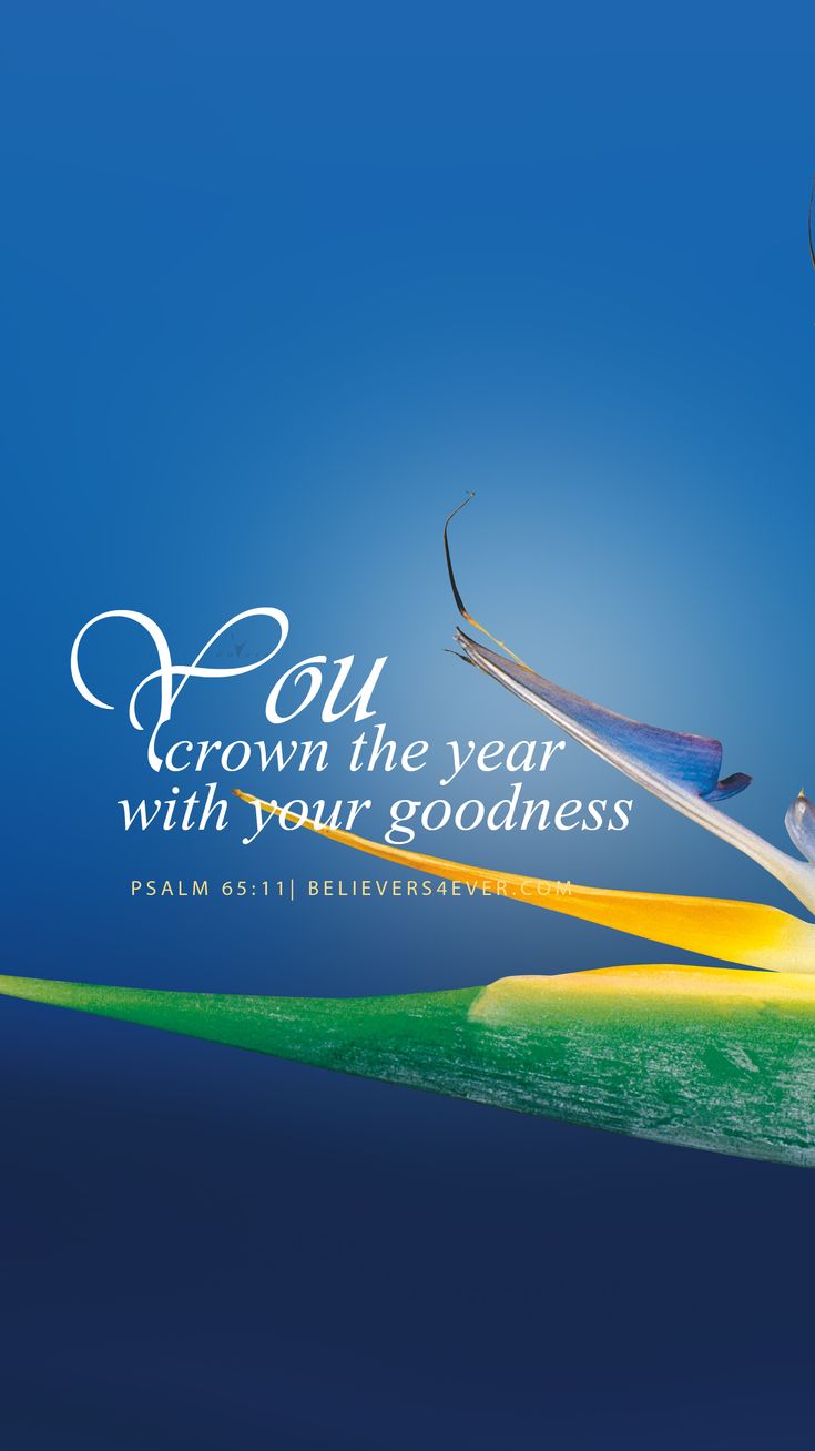 Iphone 11 Wallpaper Psalm - HD Wallpaper 