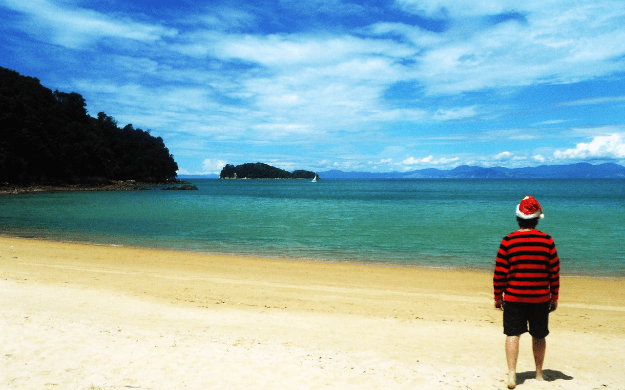 New Zealand Weihnachten - HD Wallpaper 