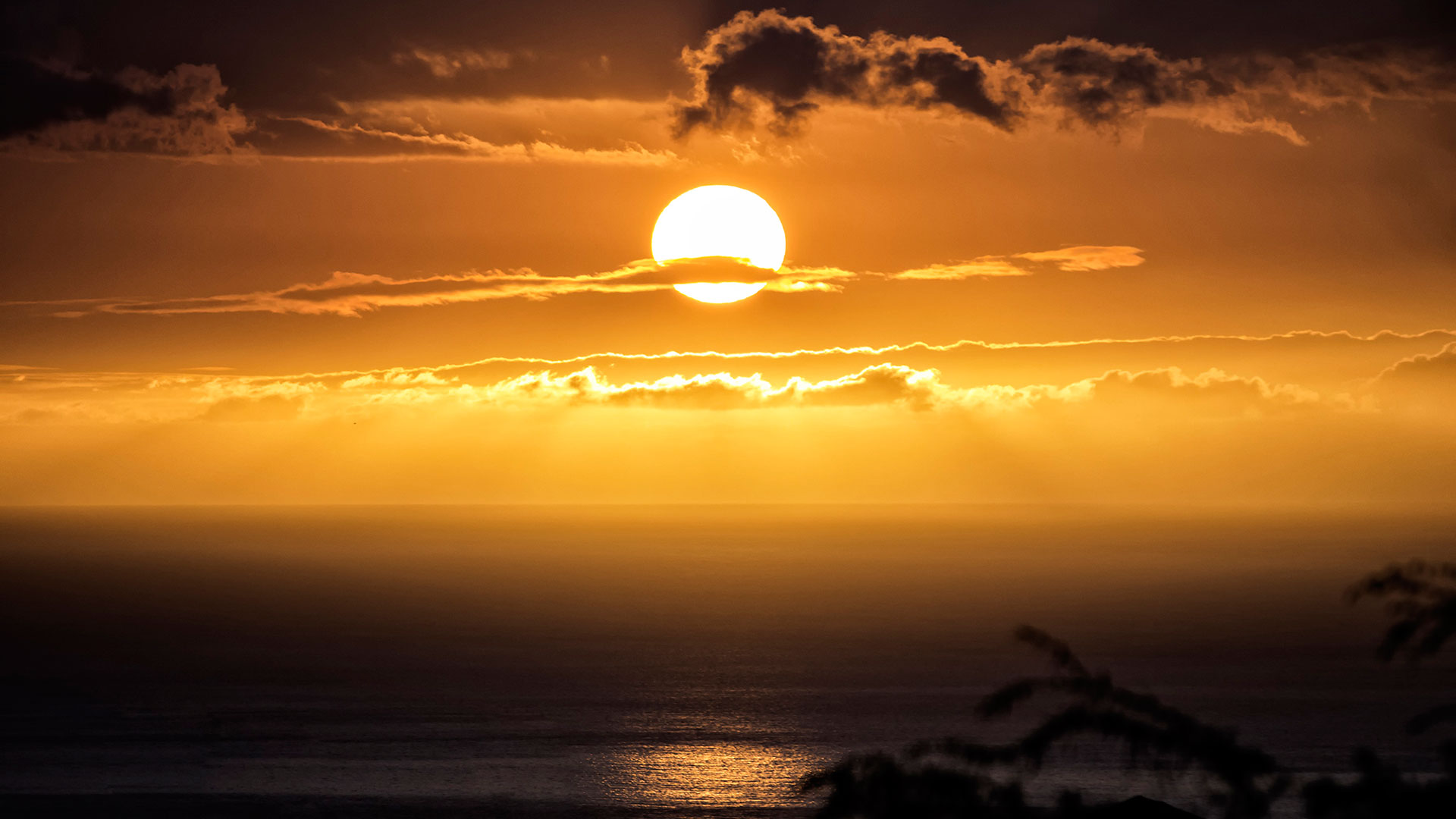 Bengali Good Morning Wishes - HD Wallpaper 