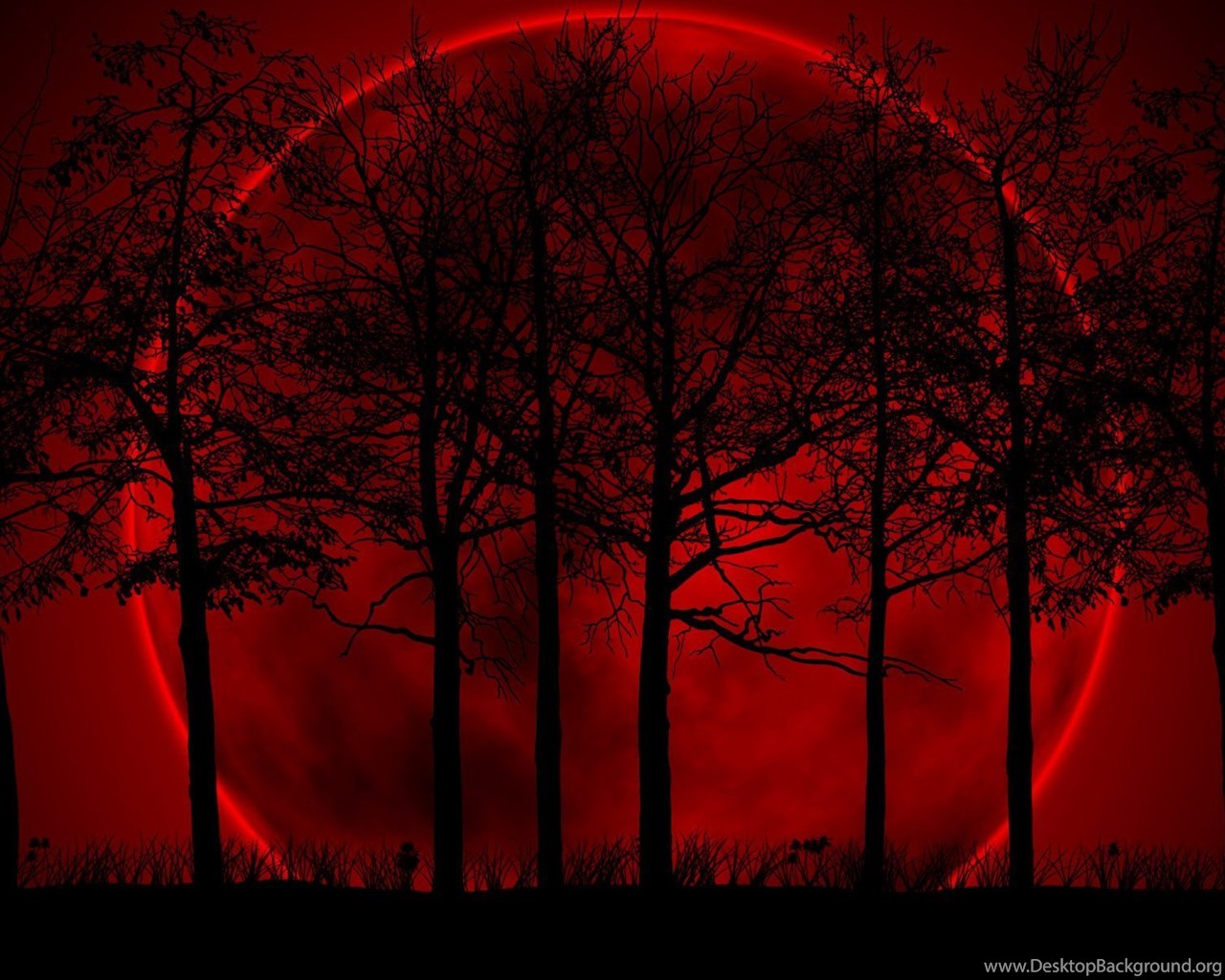 Blood Red Moon - HD Wallpaper 