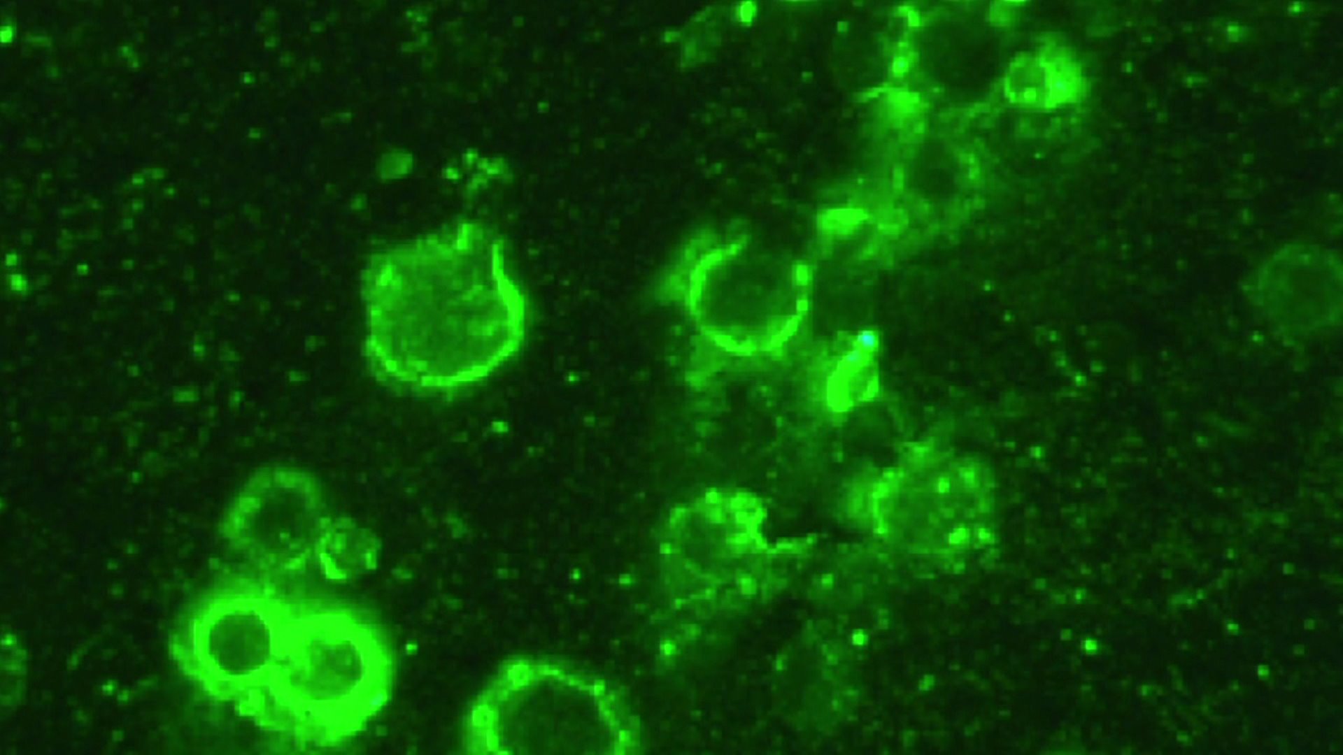 Colorfulness - HD Wallpaper 