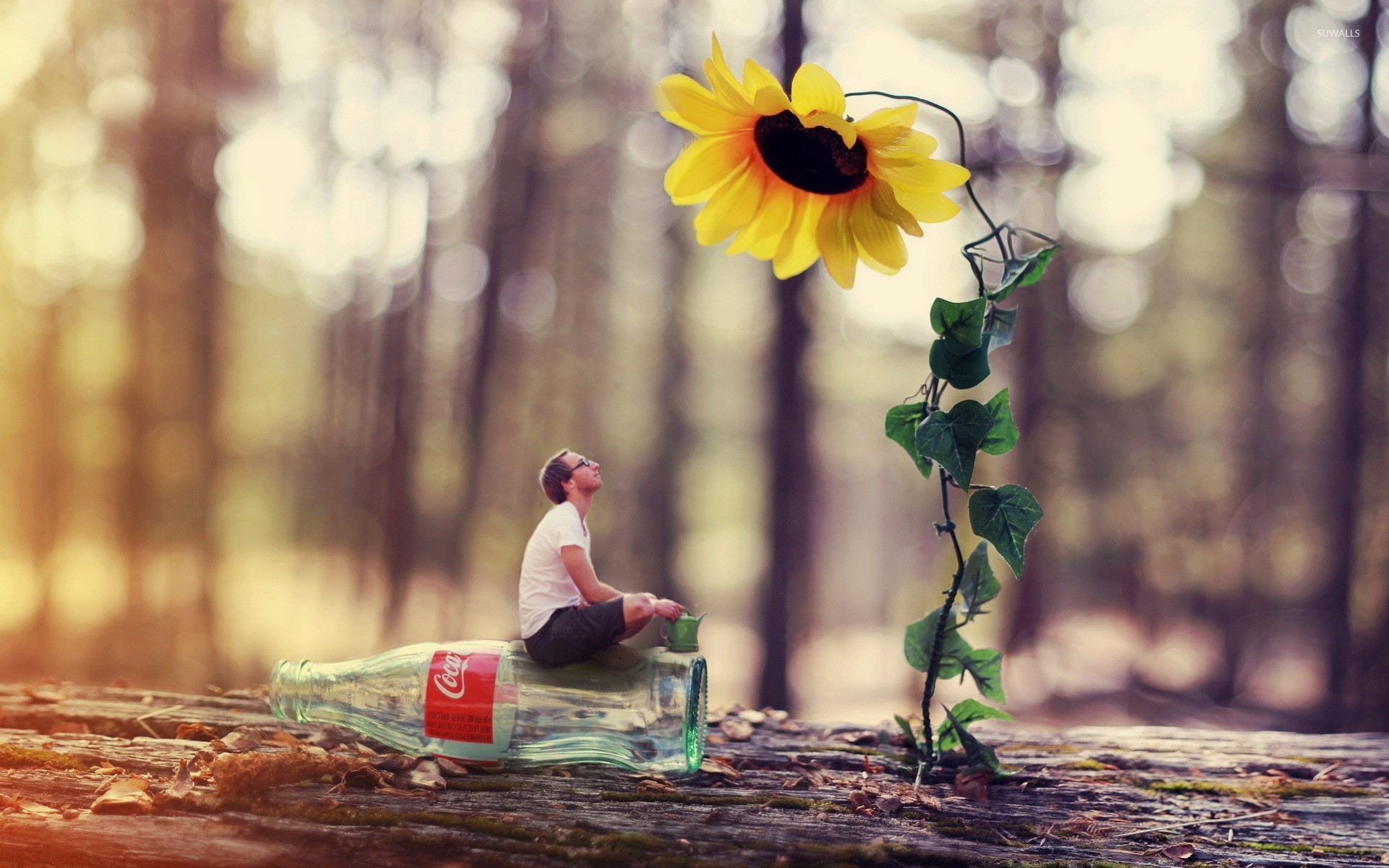 Hd Wallpaper Widescreen Love - HD Wallpaper 