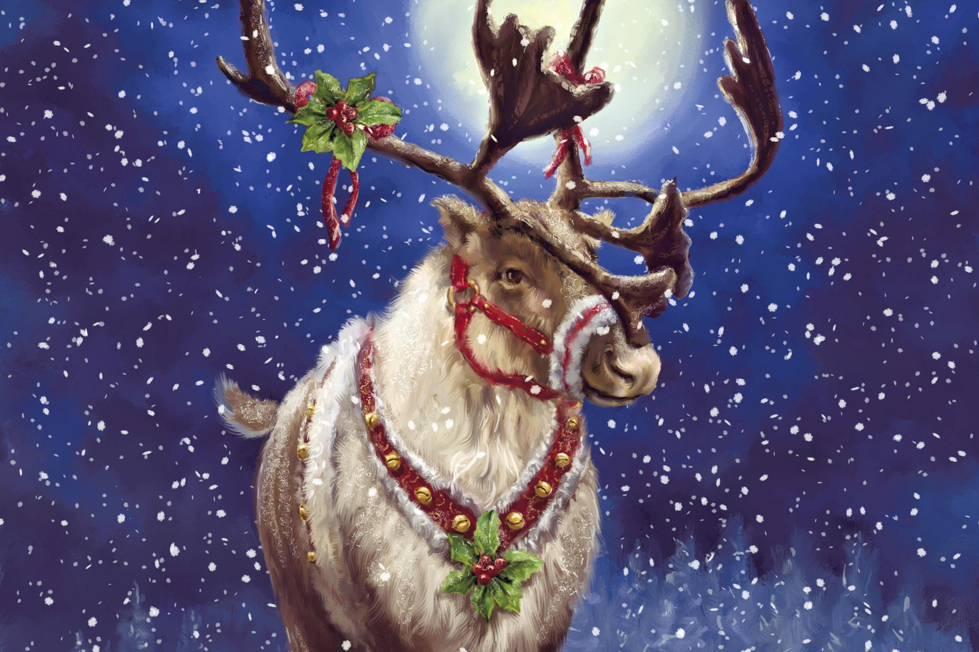 Christmas Reindeer Pictures Wallpapers Hd Free Download - Christmas Wallpaper Reindeer - HD Wallpaper 