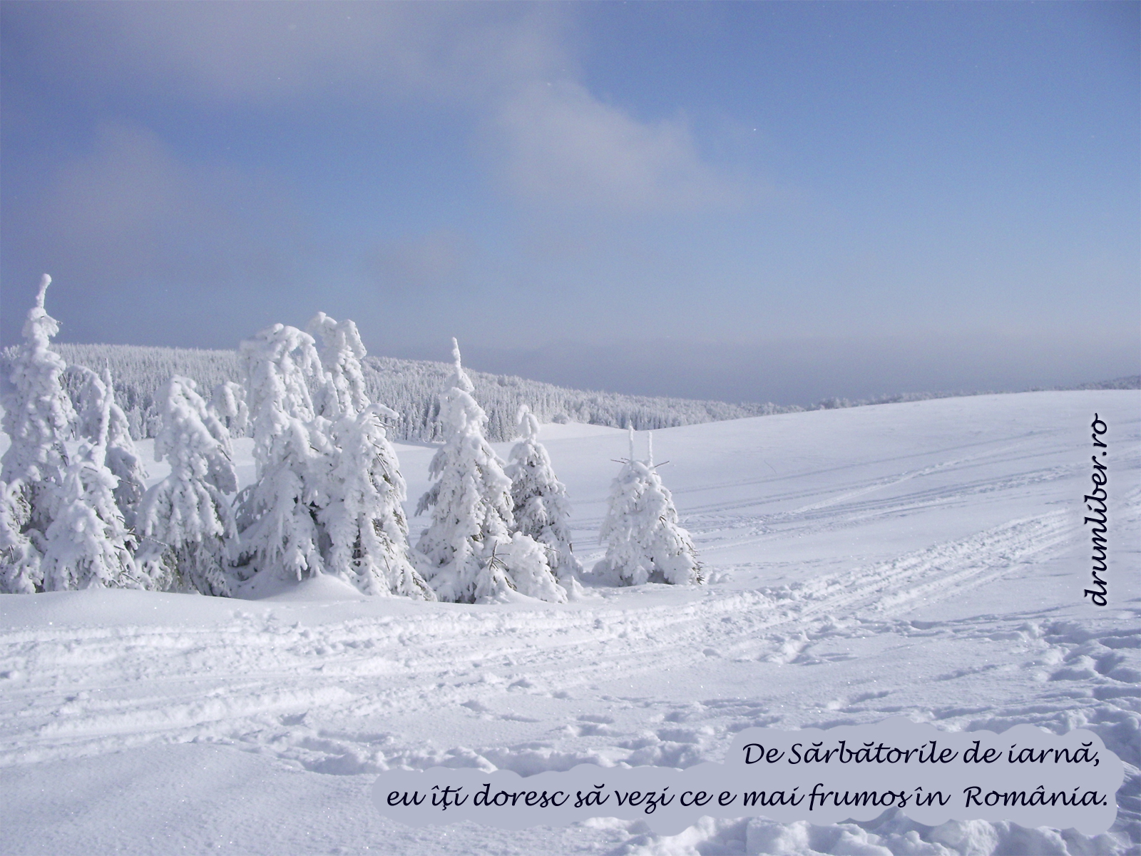 Wallpaper Sarbatori De Iarna 2009 Drumliber - Snow - HD Wallpaper 