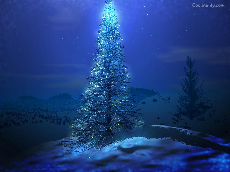 Beautiful Blue Christmas Trees - HD Wallpaper 