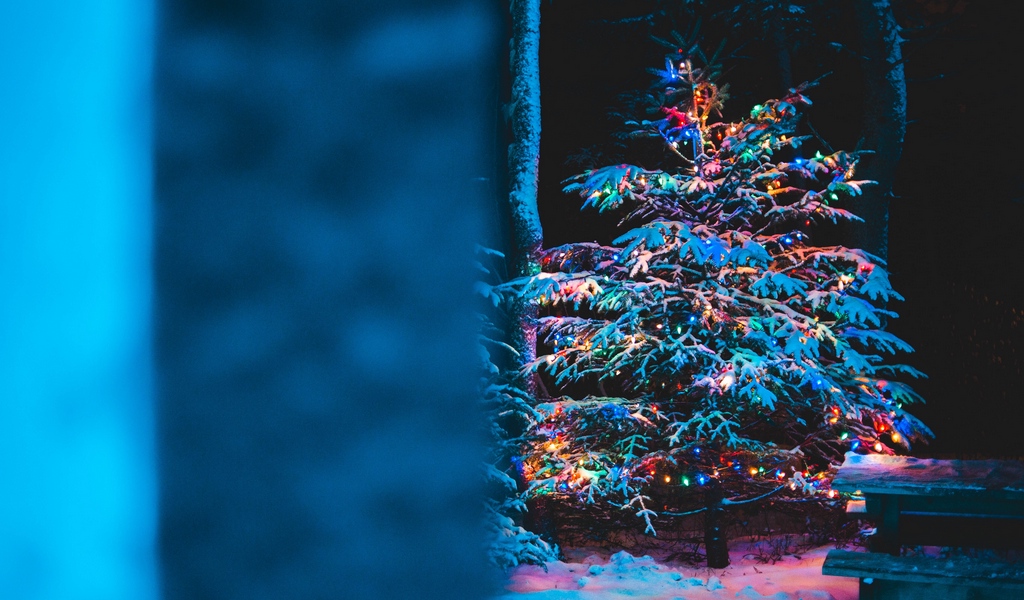 Wallpaper Tree, Garland, Snow, New Year, Christmas - Wallpaper - HD Wallpaper 