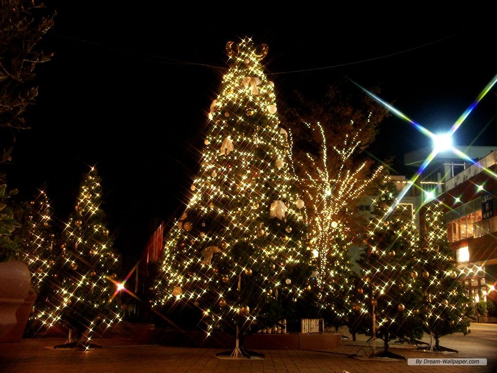 Free Holiday Wallpaper - Christmas Day - HD Wallpaper 