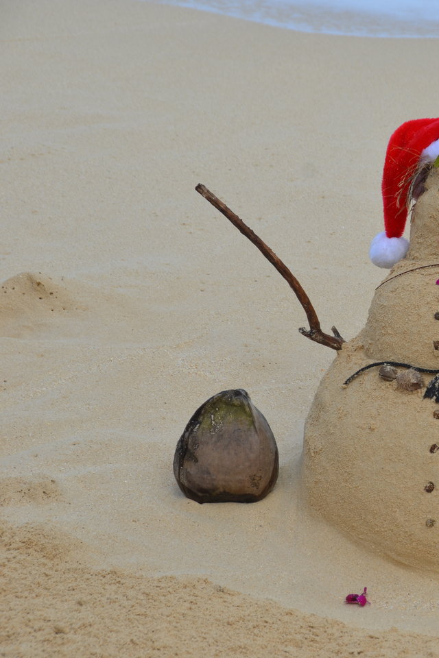 Christmas In Hawaii - Christmas Wallpapers For The New Iphone - 640x960