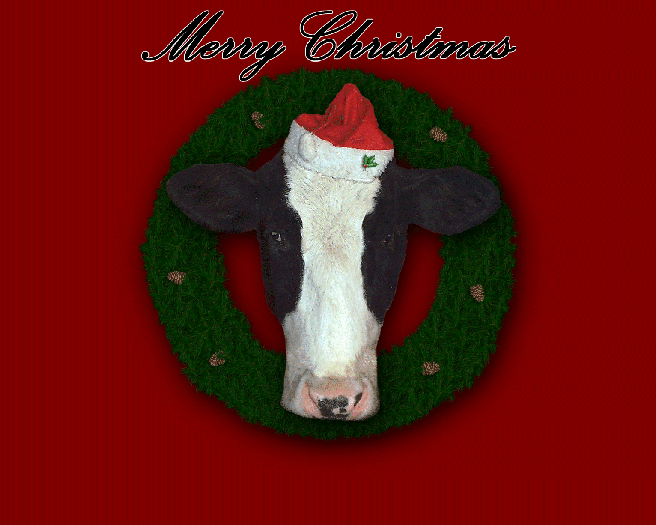 Christmas Decoration - HD Wallpaper 