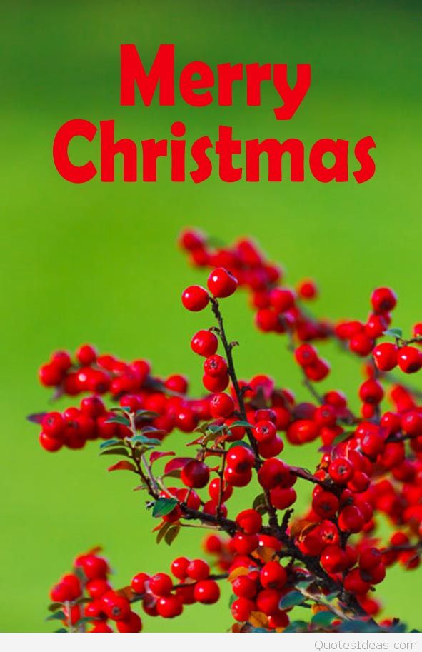Merry Christmas Mobile Wallpaper Wish Hd - Happy Christmas Wallpaper Mobile - HD Wallpaper 