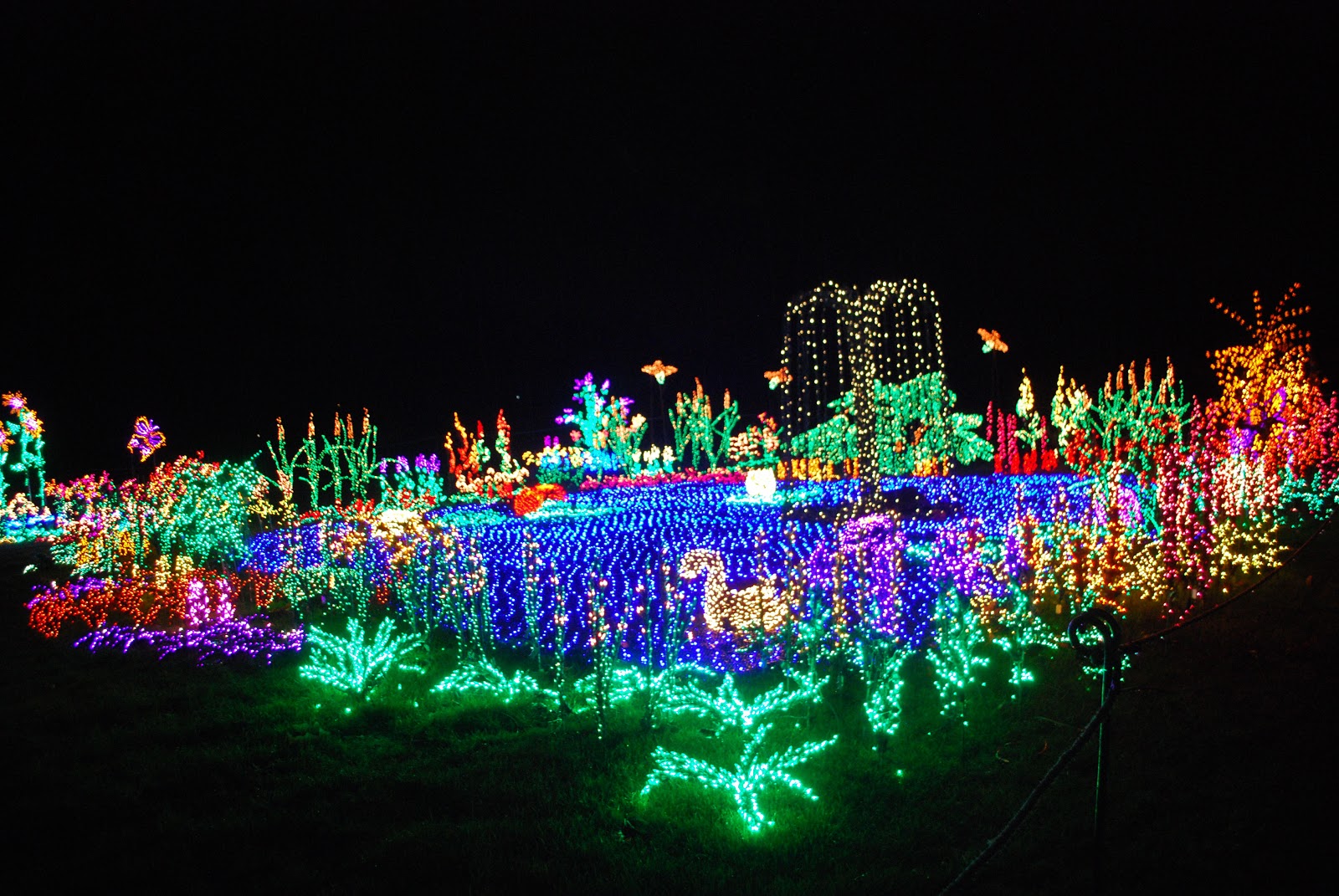 Animated Blinking Christmas Lights Merry Christmas Flashing Lights