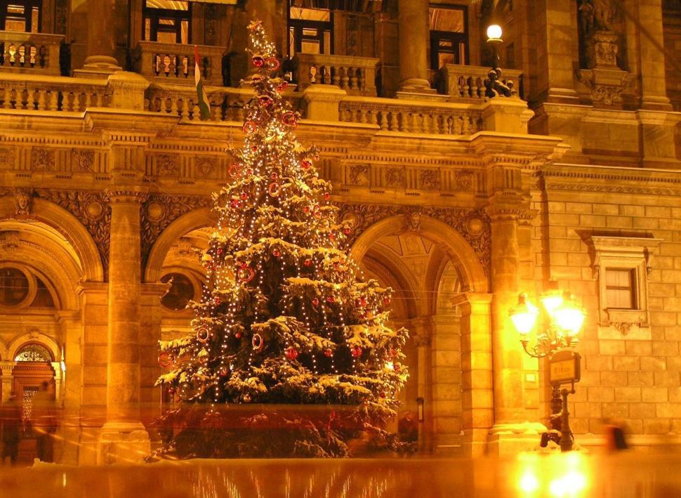 Tree, Holiday, Garland, Square, New Year, Christmas - HD Wallpaper 