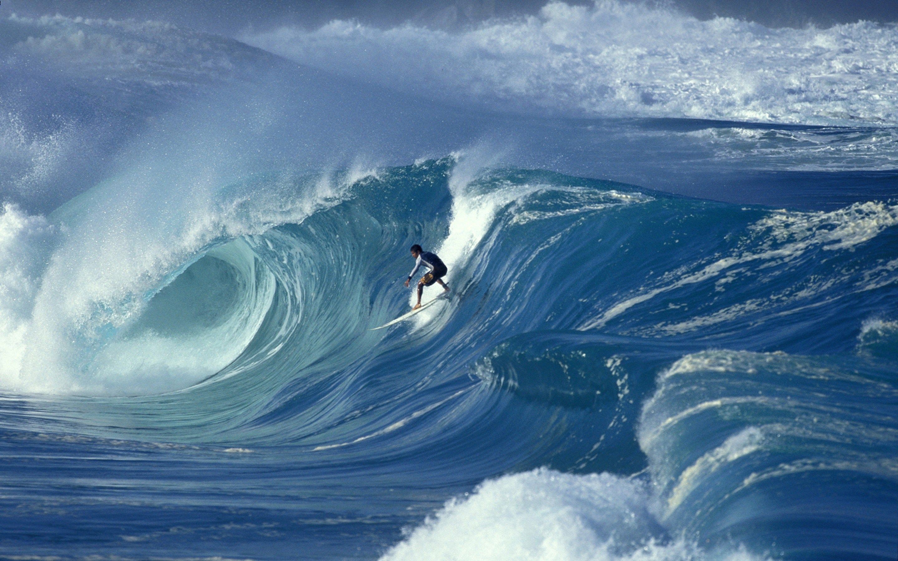 Surfing Screensaver - HD Wallpaper 