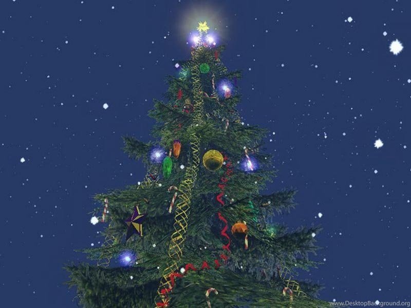 Christmas Tree - HD Wallpaper 