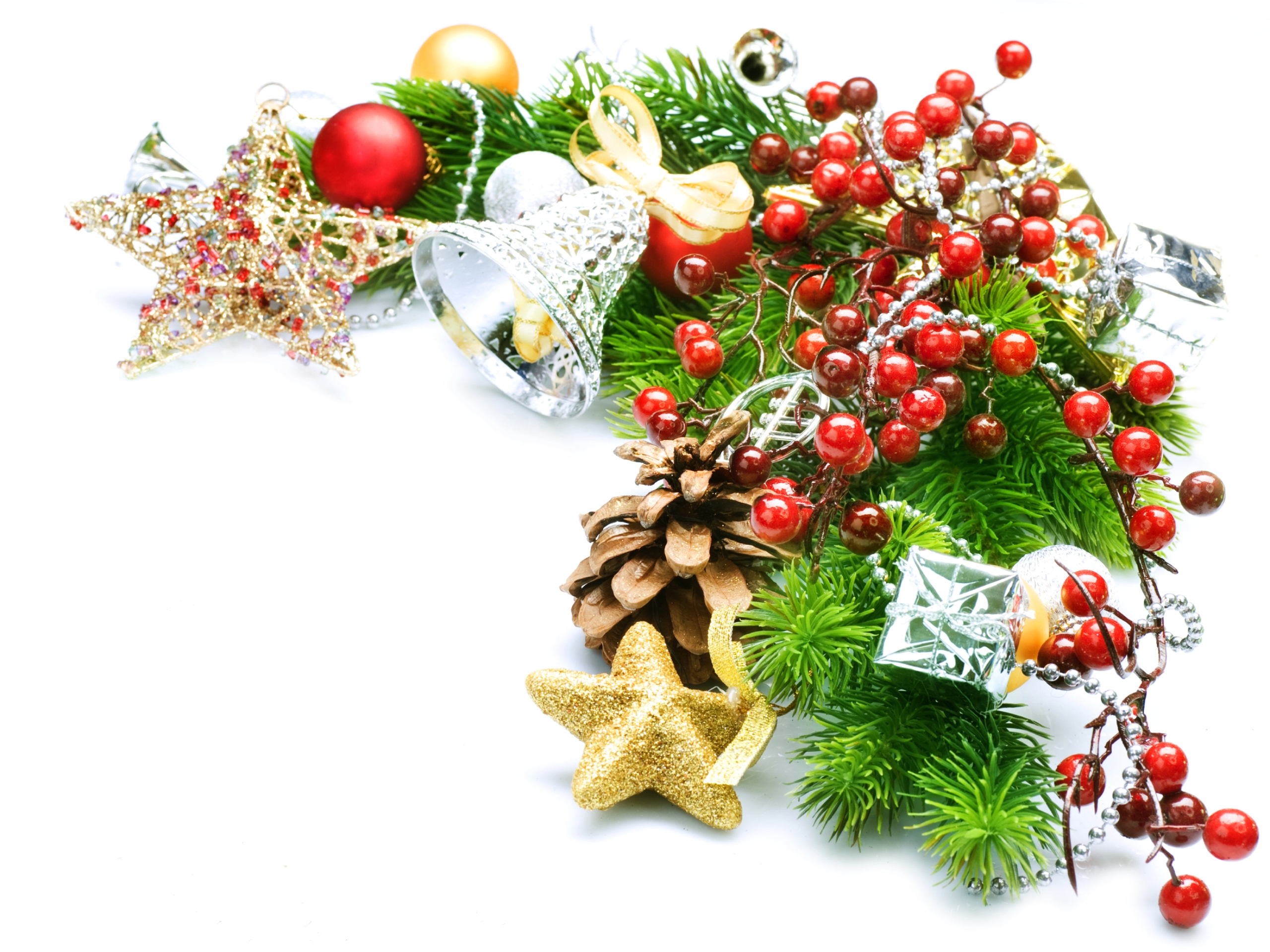 Merry Natal - Background Bunga Natal - HD Wallpaper 