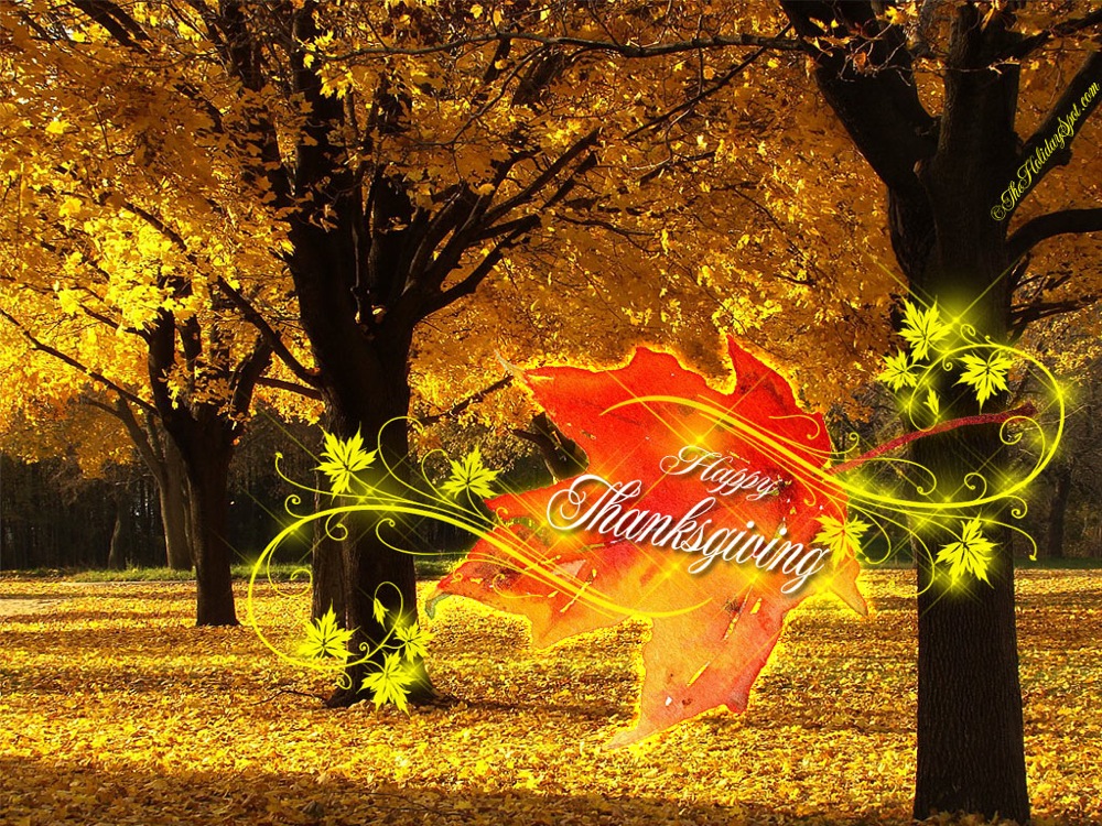 Fall Wallpaper For Desktop - HD Wallpaper 