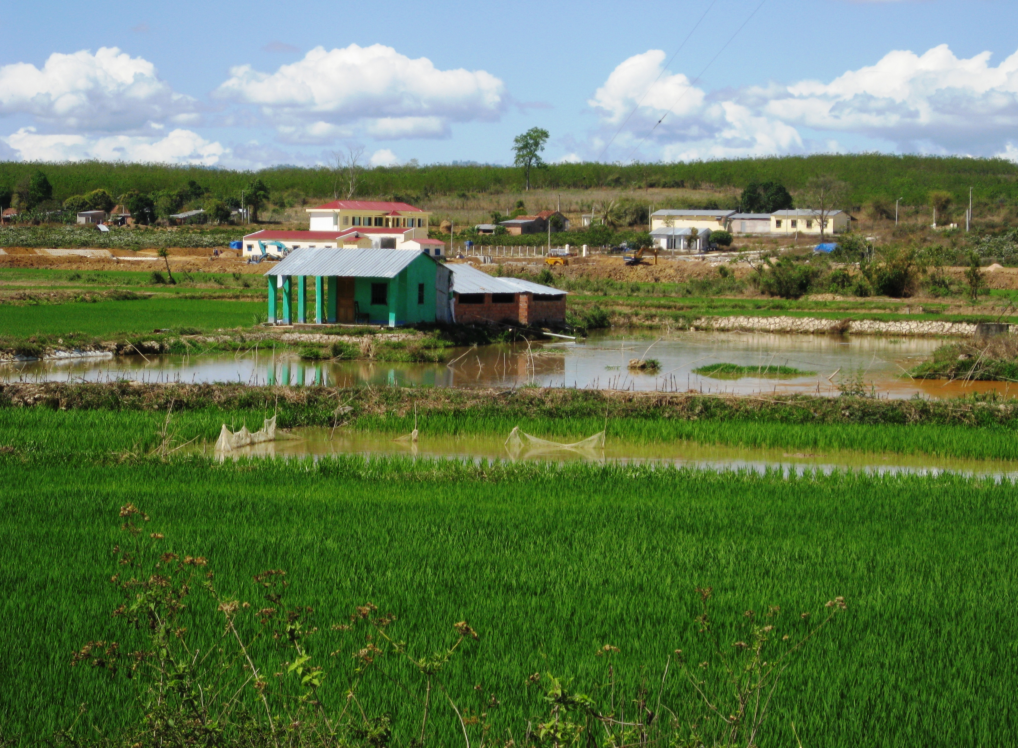 Rice Fields In Vietnam Hd Wallpapers For Windows - Rural Area - HD Wallpaper 