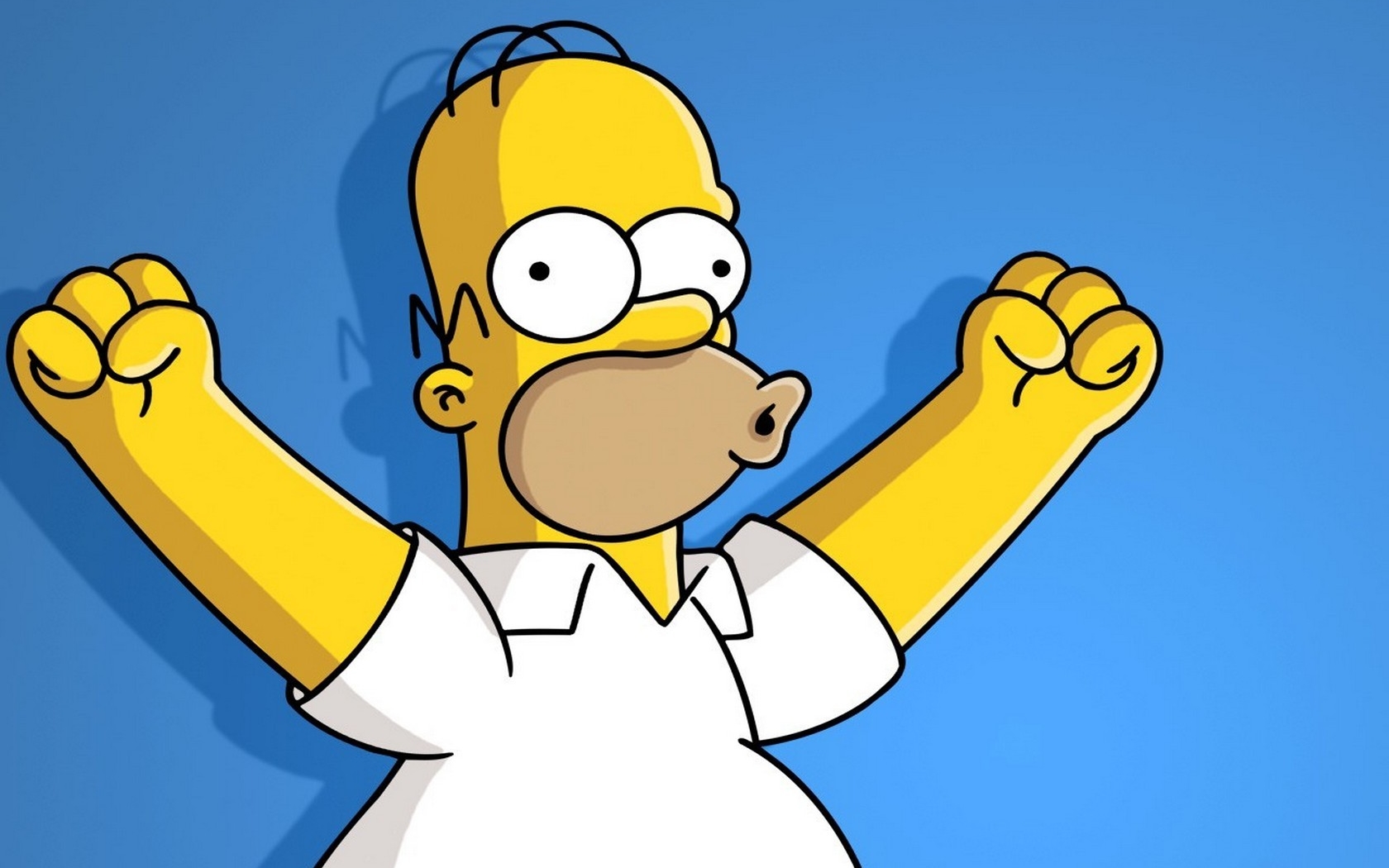 Homer And Simpsons Image - Homer Simpson - HD Wallpaper 