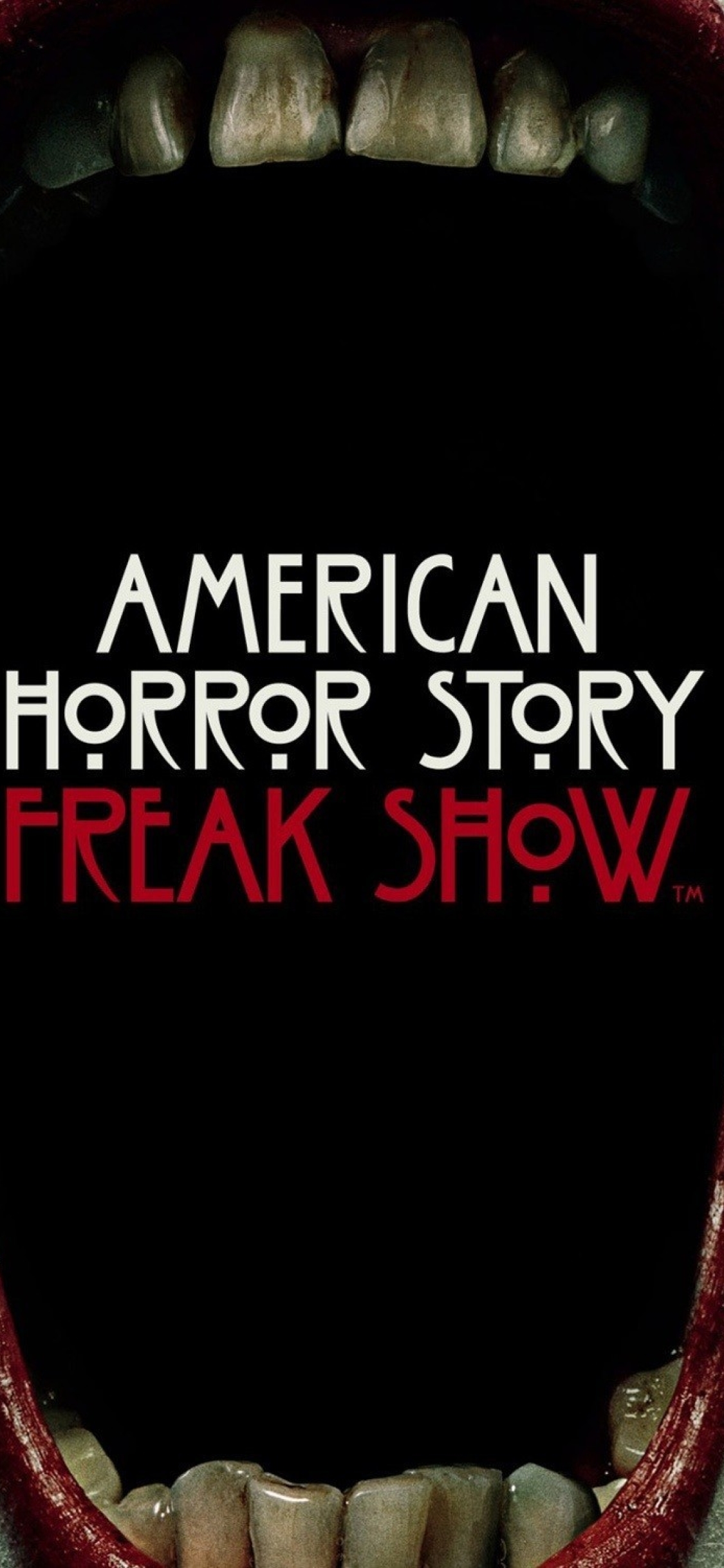 Poster - HD Wallpaper 