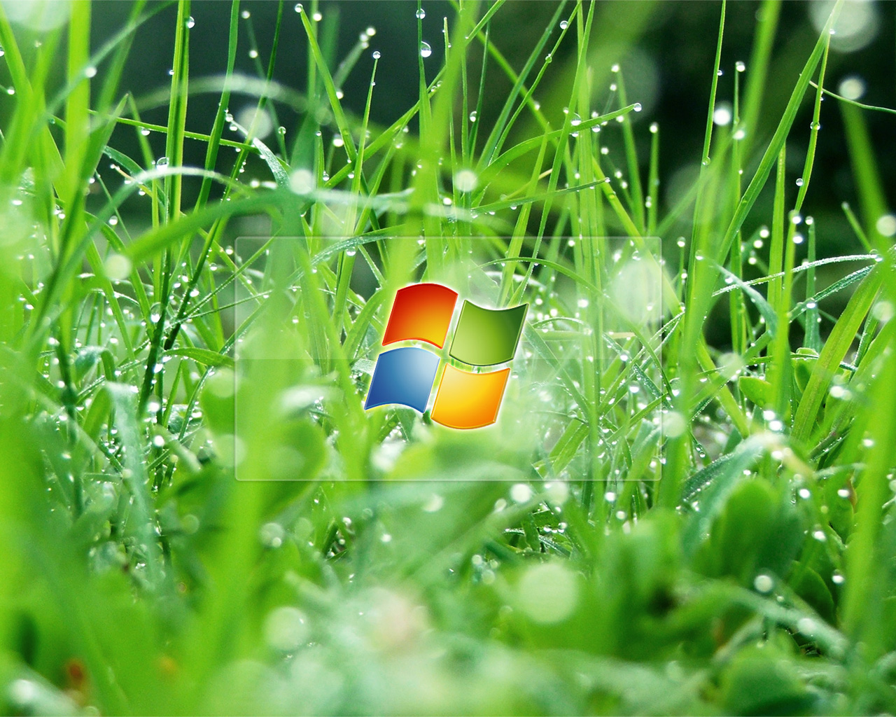 Windows Glass Effect - HD Wallpaper 