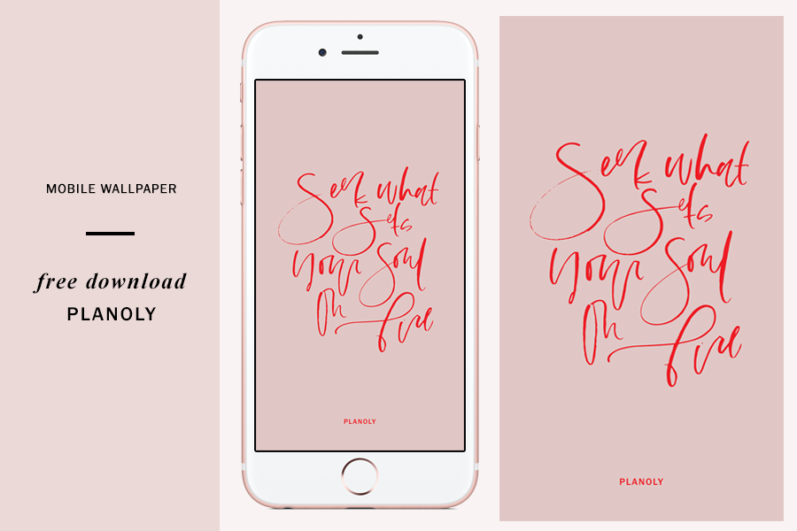 Iphone - HD Wallpaper 