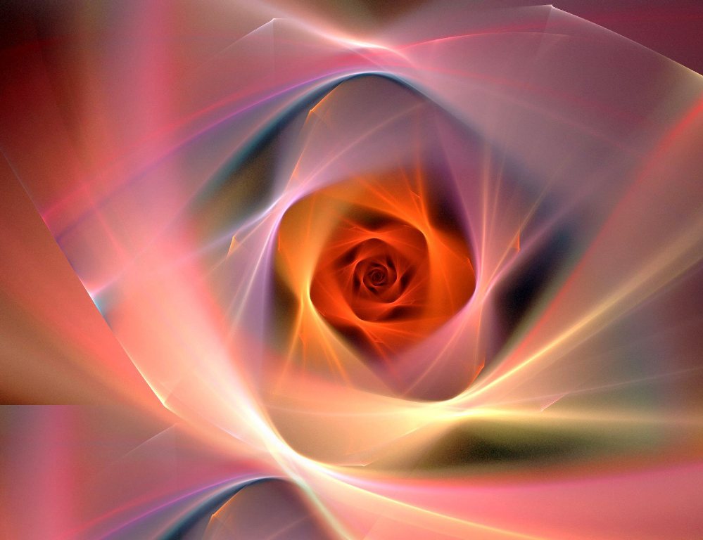 Sacred Rose - HD Wallpaper 