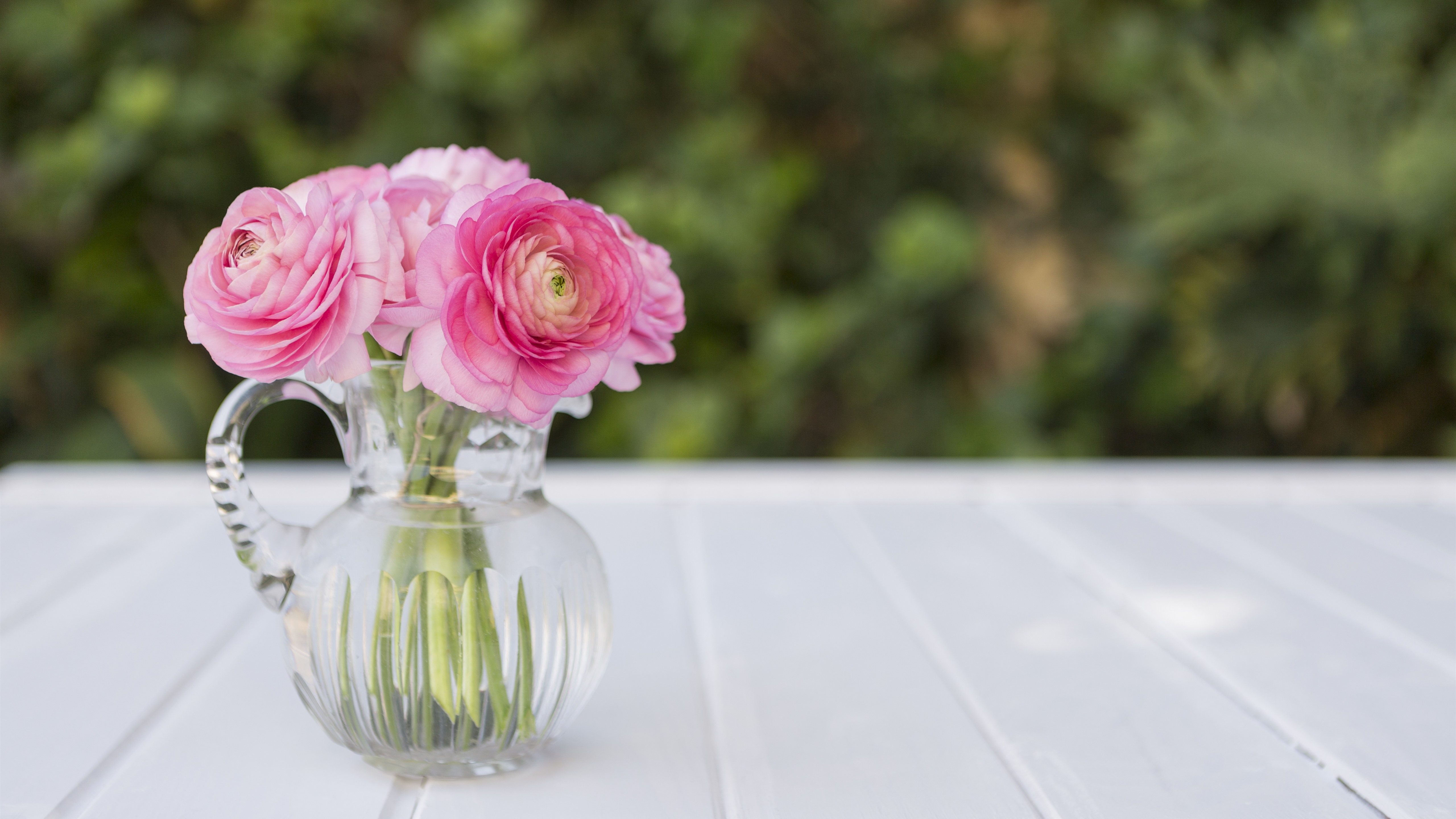 Wallpaper Pink Peonies, Flowers, Glass Vase - Flower Glass - HD Wallpaper 