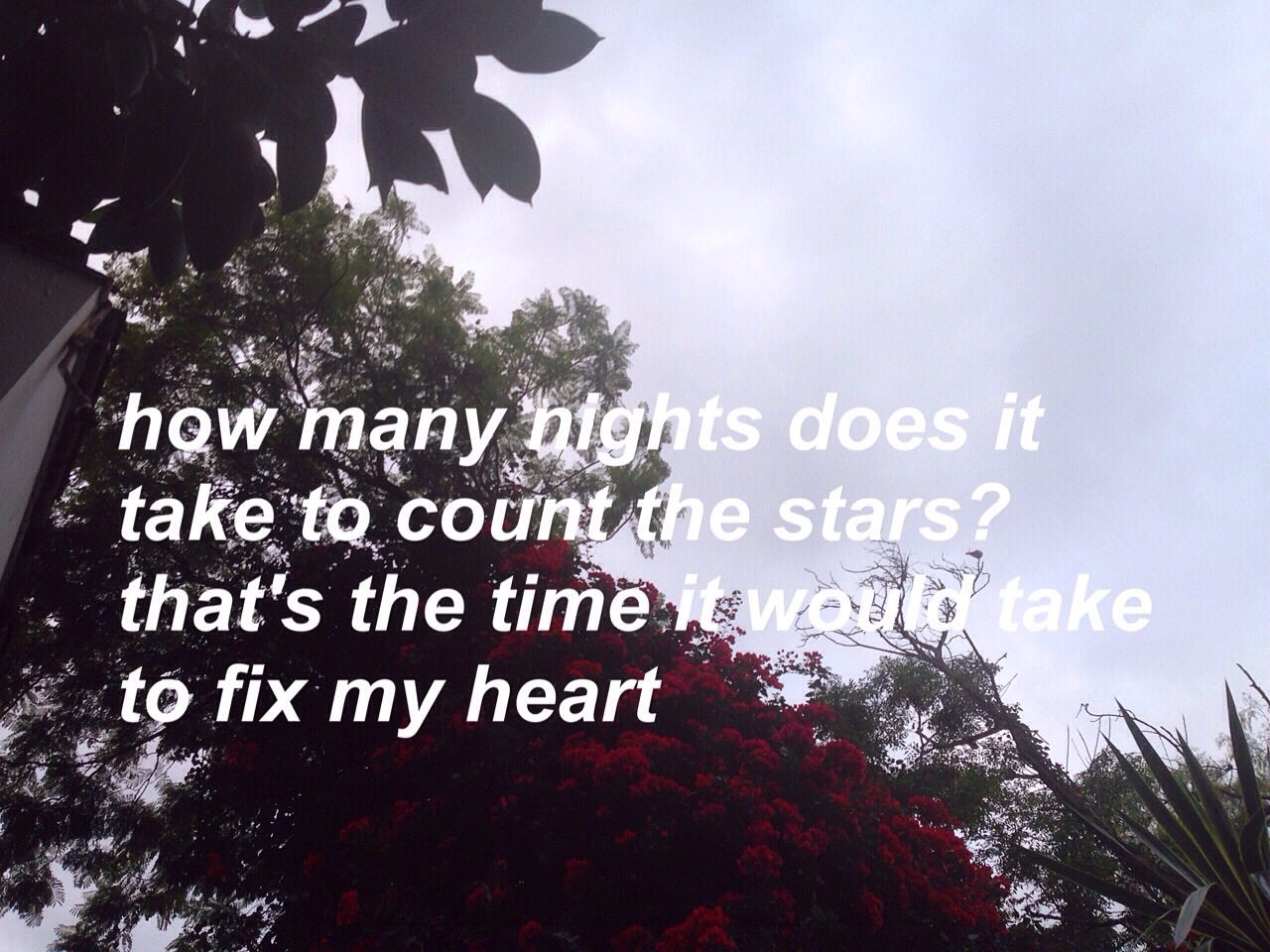 Aesthetic, Alternative, And Broken Heart Image - Song Lyric Aesthetic Tumblr Quotes - HD Wallpaper 