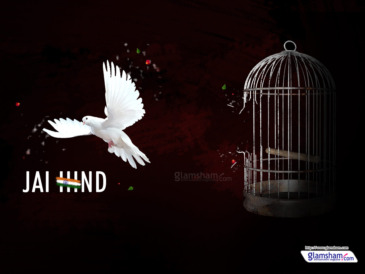 Pigeon Wallpaper - Independence Day Images In Tamil - HD Wallpaper 
