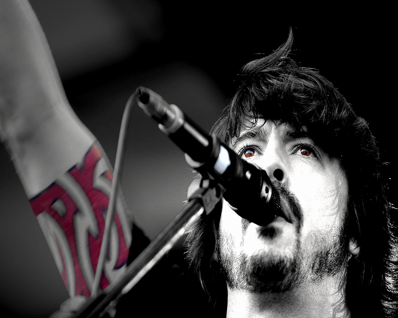 Dave Grohl - HD Wallpaper 