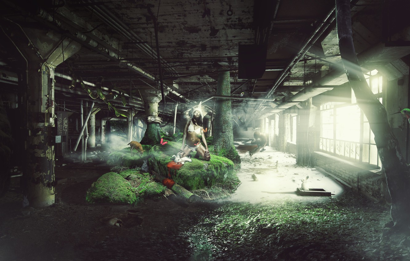 Photo Wallpaper Girl, Rabbits, Rabbit, Bosslogic, Chasing, - White Rabbit - HD Wallpaper 